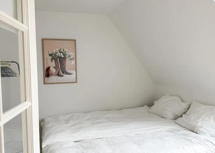 Nest Boutique Free Parking & 5 Min To Center 5* 欧登塞
